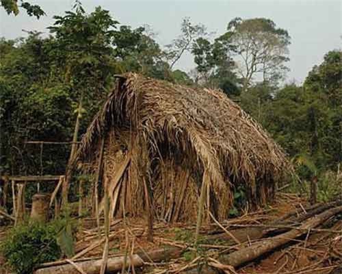 Cuộc sống cô độc suốt 22 năm của thành viên cuối cùng trong một bộ lạc Amazon