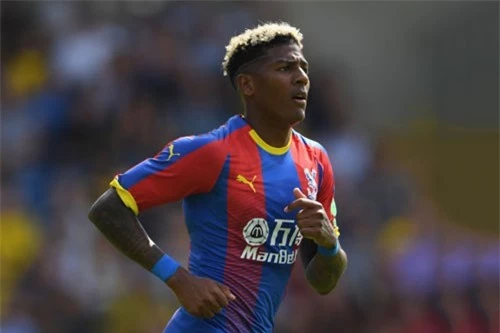 Hậu vệ trái: Patrick van Aanholt (Crystal Palace).