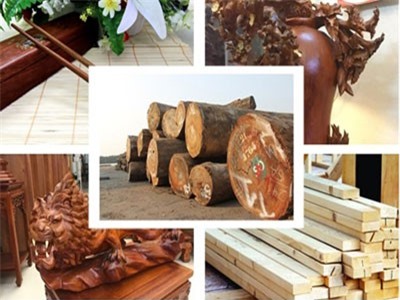 Ngành lâm nghiệp phấn đấu xuất khẩu 10,5 tỉ USD năm 2019