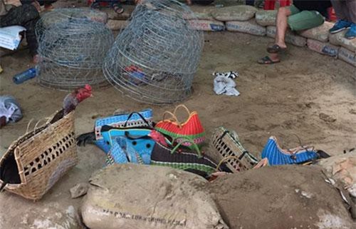 Xóa sổ trường gà quy mô lớn giáp ranh Đà Nẵng – Quảng Nam