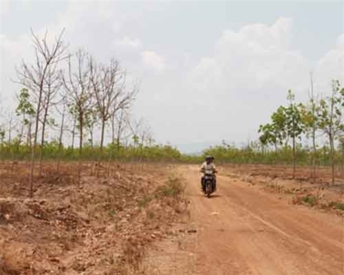 Nghịch lý: Giữa đại ngàn Tây Nguyên, người dân thiếu đất sản xuất