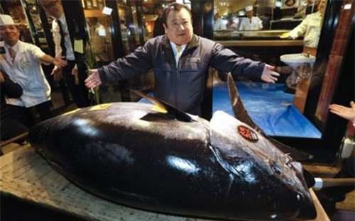 Nhật Bản: Cá ngừ vây xanh khổng lồ được đấu giá hơn 3 triệu USD 