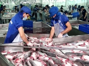 Xuất khẩu lâm sản và thủy sản đối mặt rào cản gì để đạt mục tiêu 10 tỷ USD?