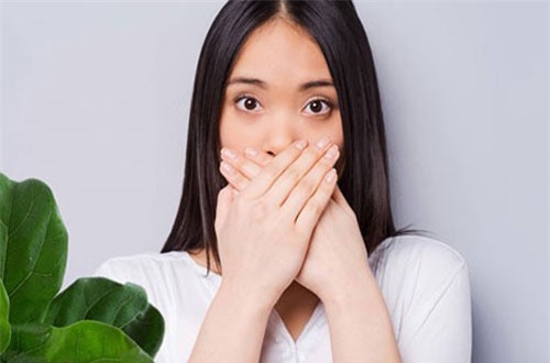 Chữa hôi miệng từ cây, lá vườn nhà