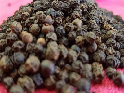 Kim ngạch xuất khẩu hạt tiêu giảm mạnh về trị giá