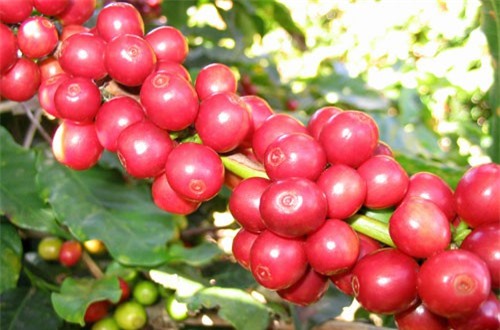 BẢN TIN TÀI CHÍNH - KINH DOANH: Không phát hành tiền lẻ mới dưới 10.000 đồng dịp Tết 2019,  giới trẻ chuộng mua sắm online dịp Tết