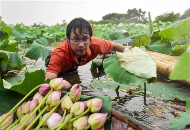 Chàng kỹ sư bỏ việc đi tìm vàng xanh giữa đại ngàn - 14