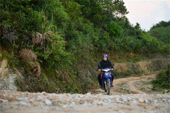 Chàng kỹ sư bỏ việc đi tìm vàng xanh giữa đại ngàn - 4