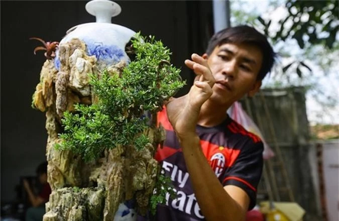 chiem nguong bonsai ti hon gia nghin do khien nguoi choi 