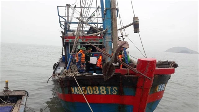 Chiếc tàu bị nạn và 7 thuyền viên đã được lai dắt vào đất liền an toàn sau gần 1 ngày gặp sự cố trên biển.