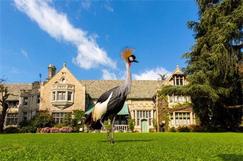 Biệt thự triệu USD của những người nổi tiếng