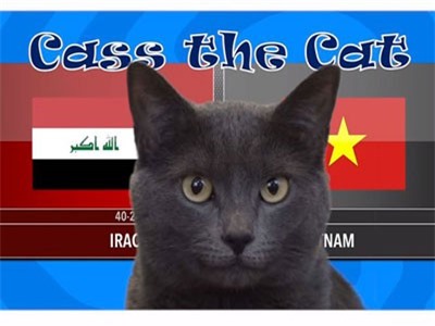 Asian Cup: Mèo tiên tri nước Anh đoán Việt Nam đánh bại Iraq tối nay