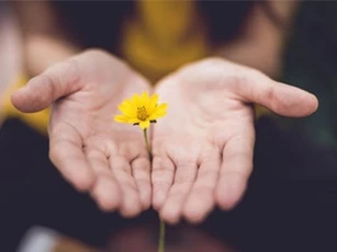 Kỹ năng mềm trong cuộc sống: những cách để nói lời xin lỗi hoàn hảo