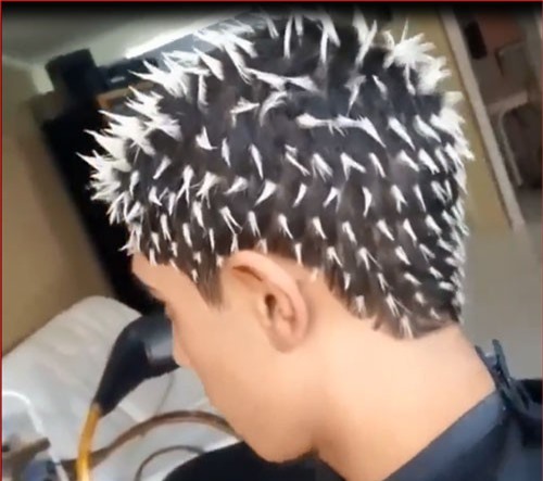 CLIP: "Choáng" nam thanh niên có kiểu tóc như cây xương rồng