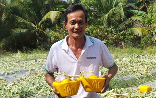 ĐBSCL: Dưa lưới thư pháp đắt hàng, dưa thỏi vàng lo “sập sàn” vì thời tiết