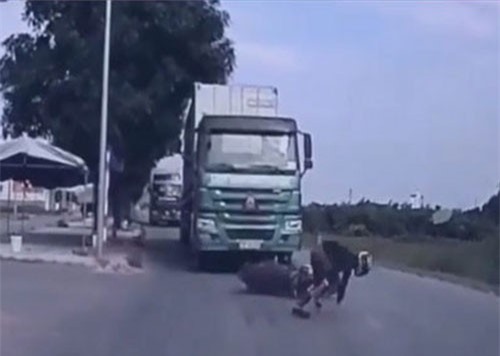 CLIP HOT (10/1): Hai con hổ nhận cái kết 'đắng' khi tấn công sếu, kỹ năng né xe container khi tham gia giao thông