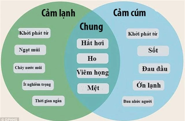 Hướng dẫn mới nhất bằng hình ảnh giúp phân biệt cảm lạnh với cúm? - Ảnh 1.