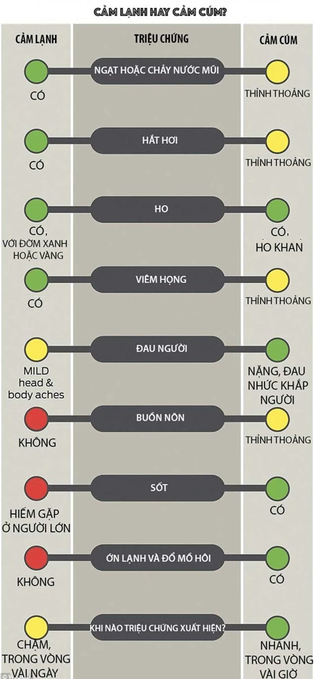 Hướng dẫn mới nhất bằng hình ảnh giúp phân biệt cảm lạnh với cúm? - Ảnh 2.