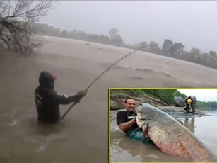 CLIP: Hiên ngang đứng giữa dòng nước lũ câu cá trê khổng lồ