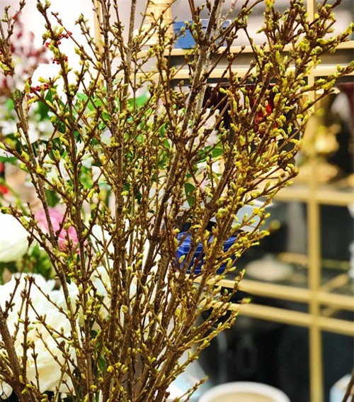 Đại gia Việt chi vài chục triệu đồng rước hoa ngoại về chơi Tết