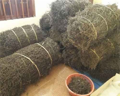 Một thay đổi lớn từ Trung Quốc: Lời cảnh báo gửi tới Việt Nam