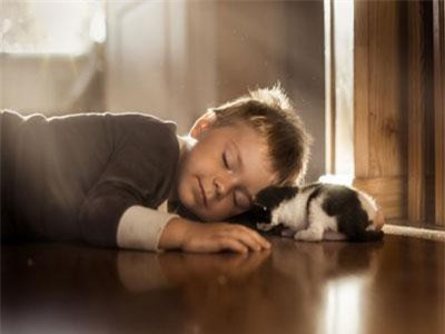Mê mẩn bộ ảnh mèo và cậu chủ nhỏ đẹp đến ngẩn ngơ