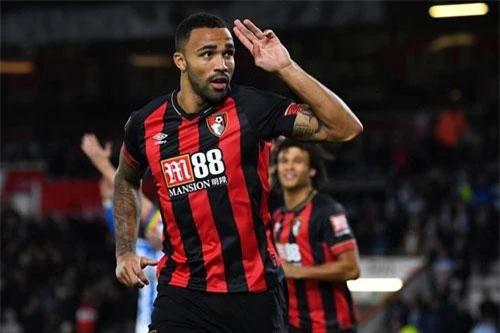 Callum Wilson.