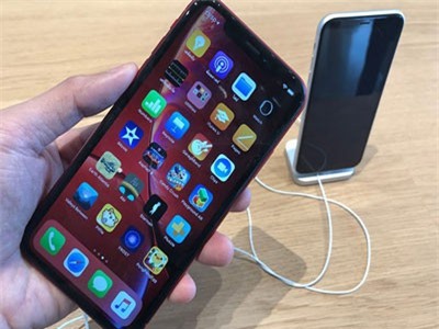 iPhone XR gây thất vọng, iPhone 2019 vẫn có biến thể LCD