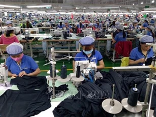 Ngành nào được hưởng lợi từ CPTPP?