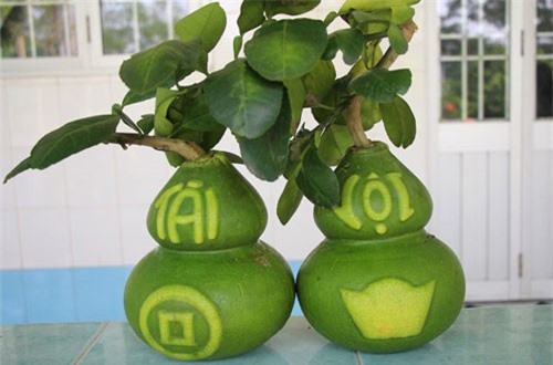 Dừa thư pháp, bưởi thỏi vàng tiền triệu mỗi cặp… vẫn hút hàng