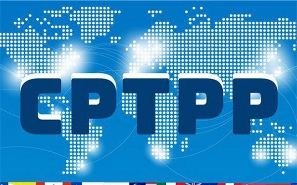 CPTPP chính thức có hiệu lực với Việt Nam từ ngày hôm nay 14/01/2019