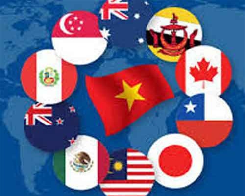 Hiểu đúng về những lợi ích đạt được khi CPTPP có hiệu lực