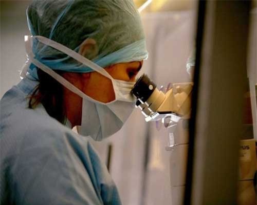 21 phát hiện khoa học thú vị nhất năm 2018