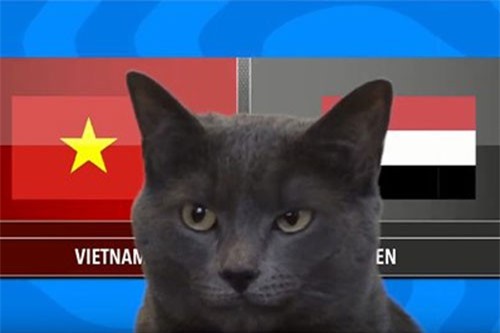 CLIP: Mèo tiên tri dự đoán bất ngờ về kết quả trận Việt Nam vs Yemen