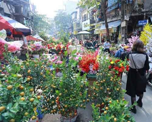 Hà Nội có 64 chợ hoa Xuân phục vụ Tết Nguyên đán Kỷ Hợi 2019