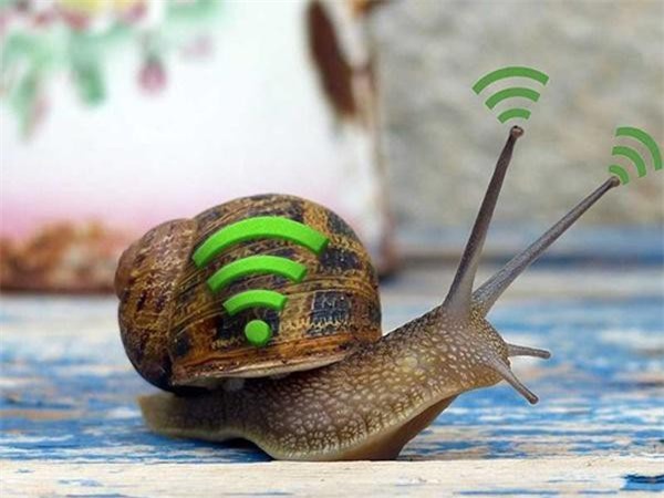 6 mẹo hay giúp lướt web vèo vèo như quán net, wifi 'căng đét' cả ngày bất chấp thời tiết