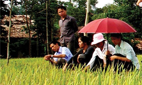 HTX Hoa Sơn: Phát huy hiệu quả từ sau Luật HTX 2012