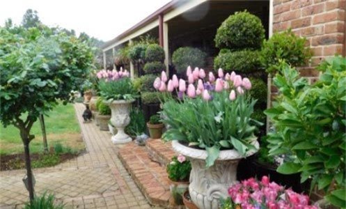 Thưởng tết 10 triệu, chồng trẻ đề nghị điều khó tin