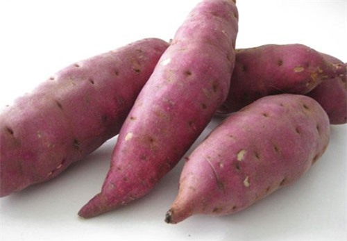 Khoai lang - “liều thuốc” điều trị tiểu đường hiệu quả