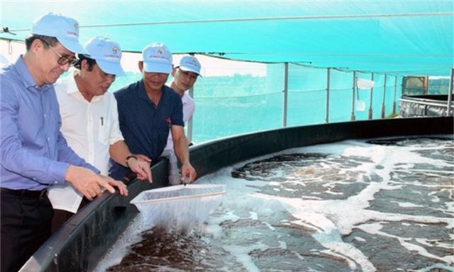 Bạc Liêu sản xuất gắn với bảo vệ môi trường