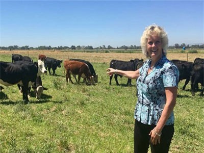 Thịt bò chỉnh sửa gene có dễ ăn?