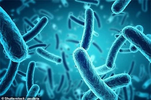 Hai chủng vi khuẩn kháng thuốc kháng sinh mới được phát hiện trong máu của 2 bệnh nhân người Trung Quốc