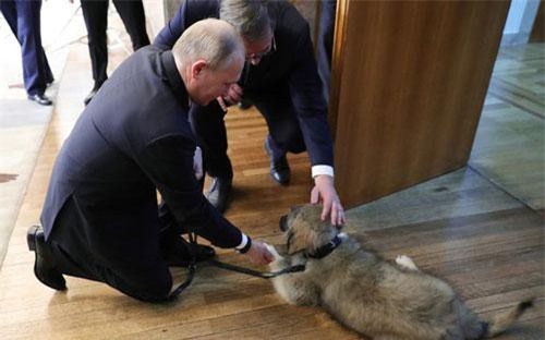 Món quà đặc biệt tổng thống Serbia tặng ông Putin