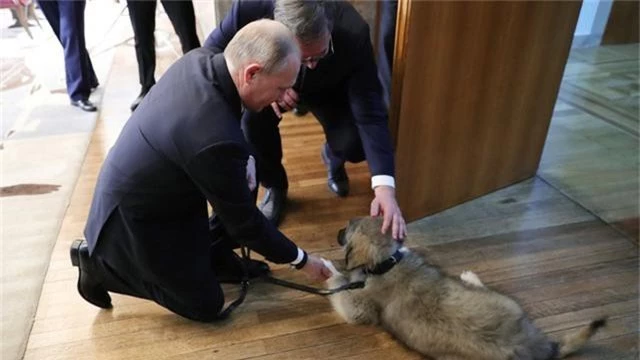 Món quà đặc biệt tổng thống Serbia tặng ông Putin - Ảnh 2.