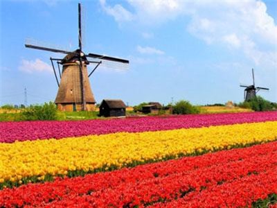 Trải nghiệm vương quốc cối xay gió bằng tàu hỏa hơi nước