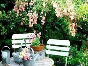 Cố đuổi việc osin, nam trưởng phòng nhận tin 'sét đánh'