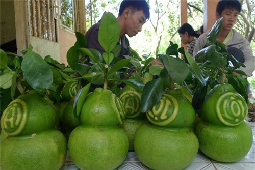 BẢN TIN TÀI CHÍNH - KINH DOANH: Dân buôn xe ‘vượt cạn’ dịp Tết, tăng giá trị nông sản từ trái cây tạo hình