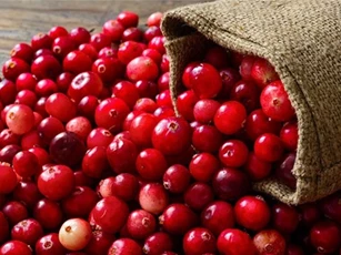 Những loại thực phẩm tốt cho thận