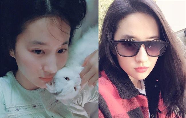 Lưu Diệc Phi dù là hình ảnh đời thường cũng đẹp mê hoặc