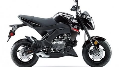 Kawasaki Z125 Pro 2019.